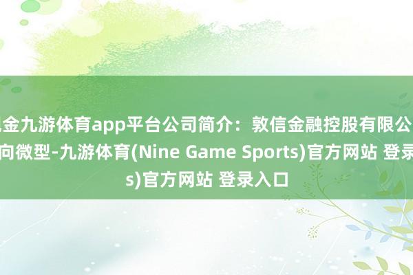 现金九游体育app平台公司简介：敦信金融控股有限公司从事向微型-九游体育(Nine Game Sports)官方网站 登录入口