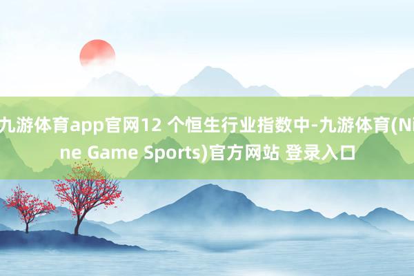 九游体育app官网12 个恒生行业指数中-九游体育(Nine Game Sports)官方网站 登录入口