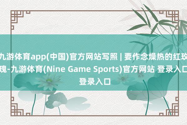 九游体育app(中国)官方网站写照 | 要作念燥热的红玫瑰-九游体育(Nine Game Sports)官方网站 登录入口