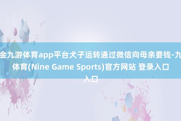 现金九游体育app平台犬子运转通过微信向母亲要钱-九游体育(Nine Game Sports)官方网站 登录入口