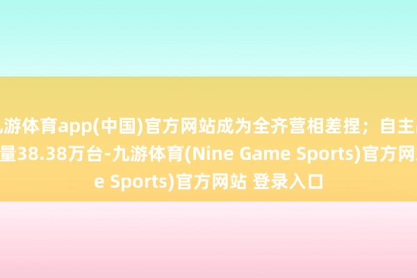 九游体育app(中国)官方网站成为全齐营相差捏;自主品牌滑板车销量38.38万台-九游体育(Nine Game Sports)官方网站 登录入口